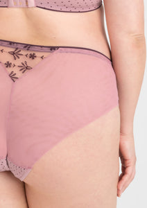 Carmen classi briefs